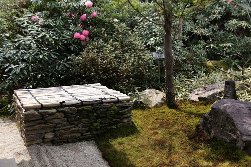 高野寺庭園6