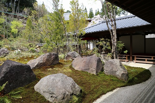 高野寺庭園5