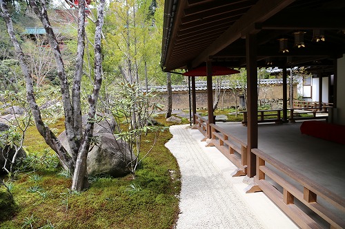 高野寺庭園7