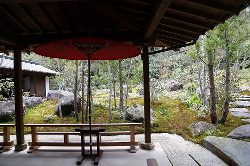 高野寺庭園10
