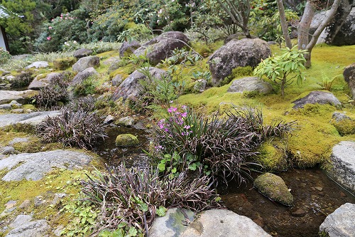 高野寺庭園13