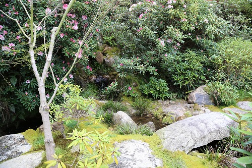 高野寺庭園15