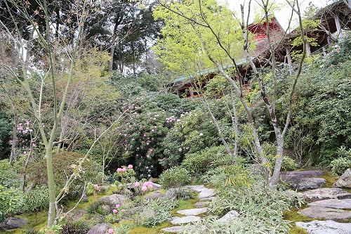 高野寺庭園16