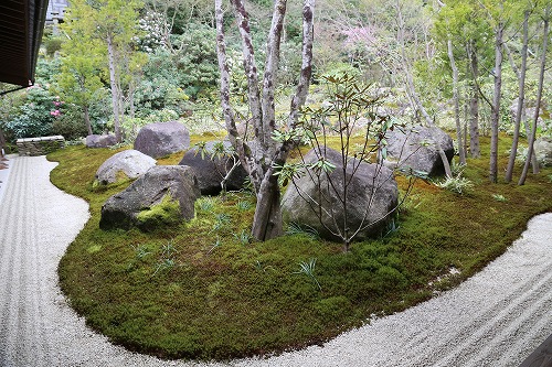 高野寺庭園17