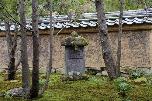 高野寺庭園12
