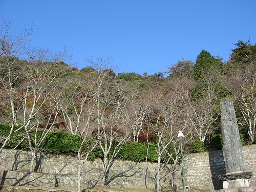 桜山公園1