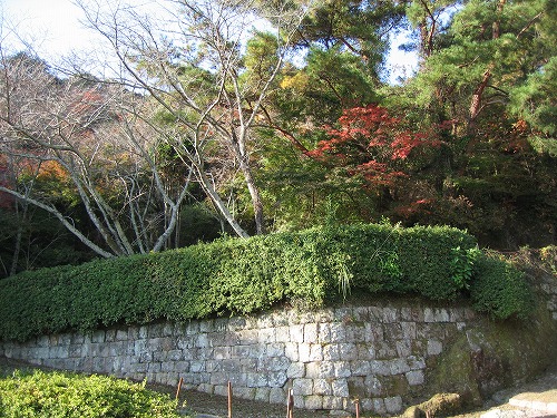 桜山公園2