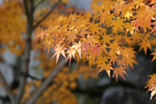 廣福寺10