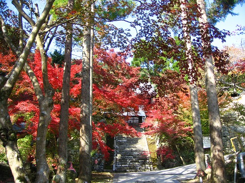 廣福寺8