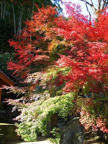 廣福寺11