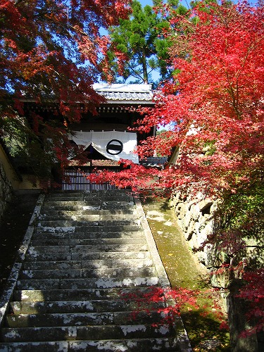 廣福寺3