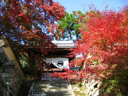 廣福寺6