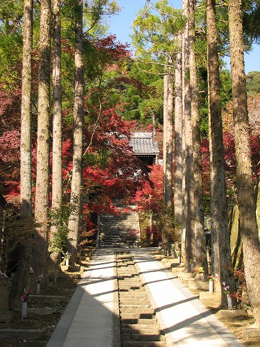 廣福寺1