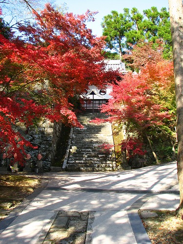 廣福寺4