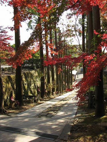 廣福寺2