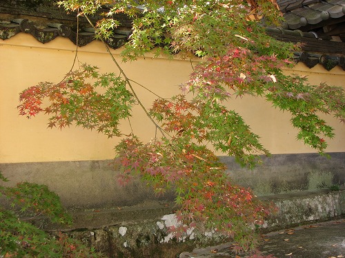 廣福寺21