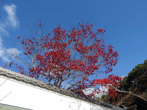 廣福寺19