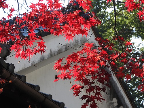 廣福寺4