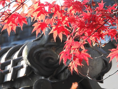 廣福寺5