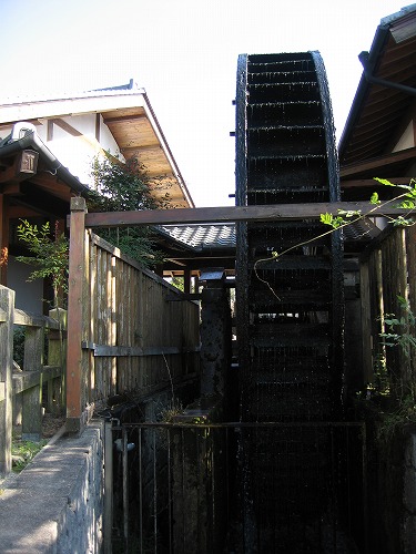 大楠公園15