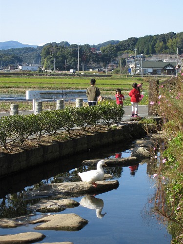 大楠公園18