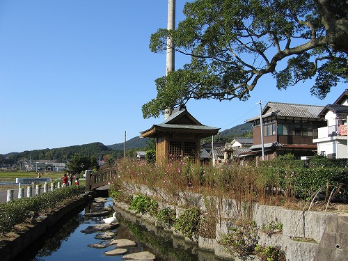 大楠公園2