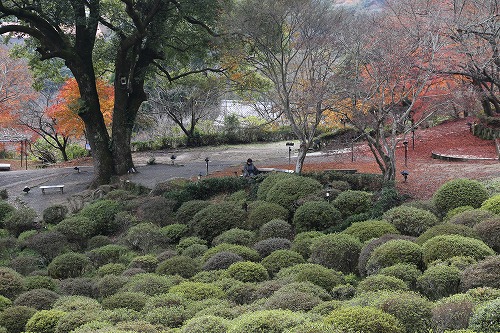 御船山楽園20