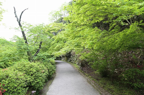 御船山楽園3