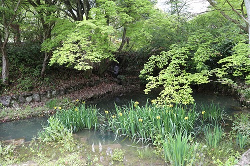 御船山楽園10