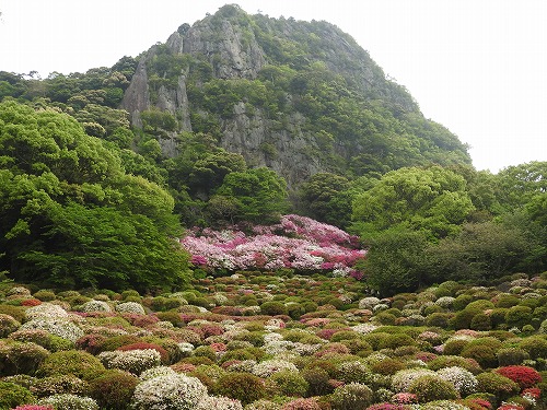 御船山楽園16