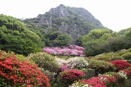 御船山楽園5