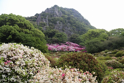 御船山楽園6