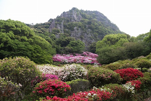 御船山楽園8