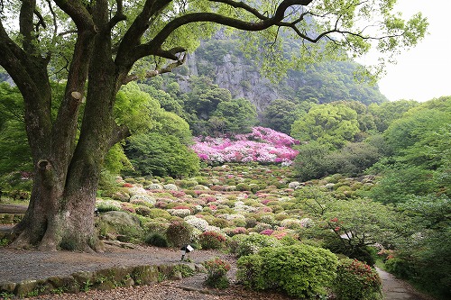 御船山楽園11