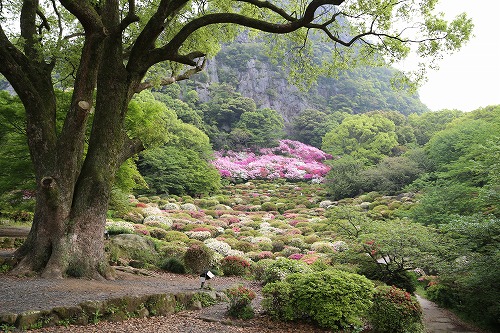 御船山楽園12