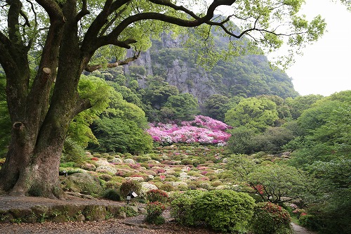 御船山楽園13