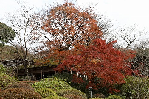 萩野尾御茶屋2