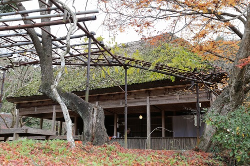 萩野尾御茶屋21
