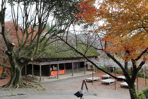 萩野尾御茶屋24