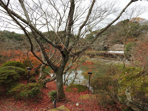 萩野尾御茶屋22