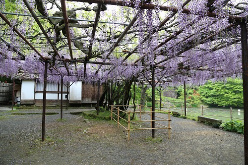 御船山楽園18