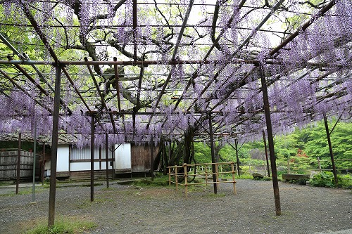 御船山楽園19