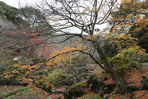 御船山楽園8