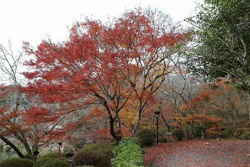 御船山楽園12