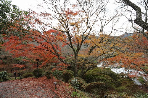 御船山楽園13