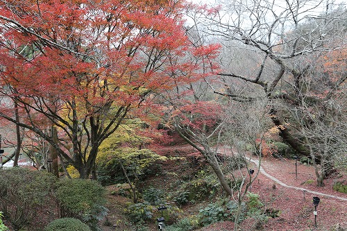 御船山楽園15