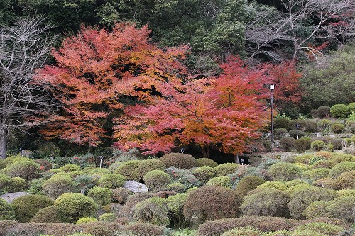 御船山楽園18