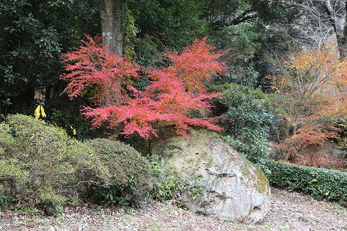 御船山楽園6