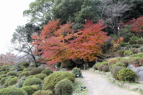 御船山楽園25