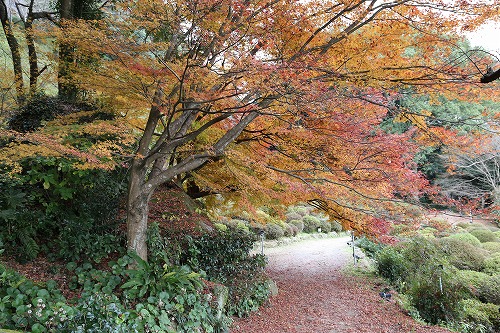 御船山楽園28
